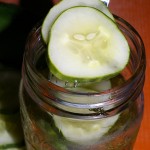 Refrigerator Dill Pickle Slices at 1840 Farm