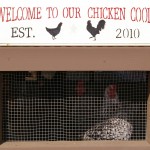 CoopWelcome2 CoopWelcome2