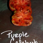 Purple Calabash Heirloom Tomatoes at 1840 Farm