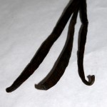 Vanilla Beans at 1840 Farm