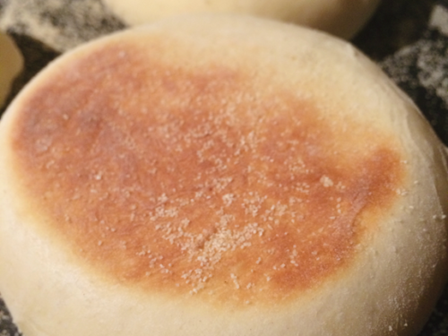 https://1840farm.com/wp-content/uploads/2017/09/English-Muffins-at-1840-Farm-500x375.png