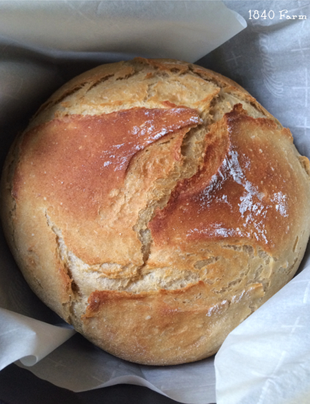 https://1840farm.com/wp-content/uploads/2018/01/Rustic-Dutch-Oven-Bread-at-1840-Farm.png