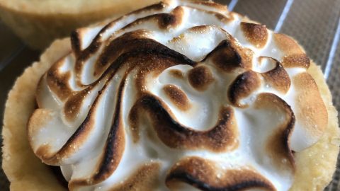 Toasted Meringue Topping For Tarts And Pies 1840 Farm