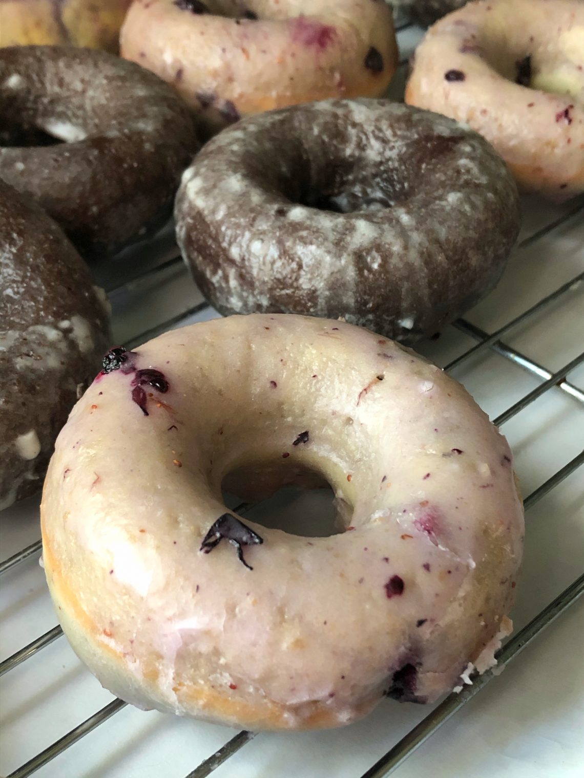 Baked Blueberry Glazed Donuts – 1840 Farm